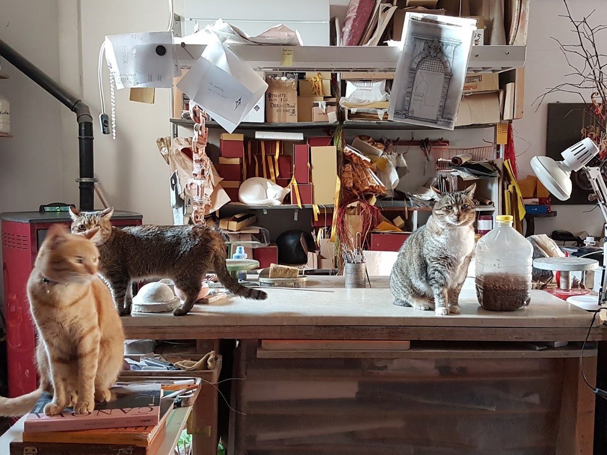 Tre gatti nella bottega di Salvatore Troiano